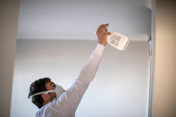 Best Residential Mold Removal  in Boulder, MT