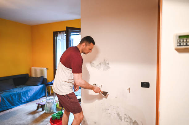 Best Attic Mold Removal  in Boulder, MT